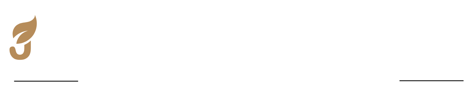Chartered Accountants (1)